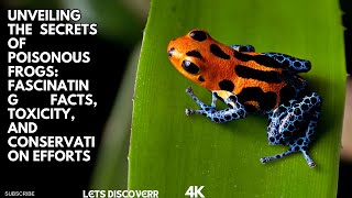 quotUnveiling the Secrets of Poisonous Frogs Fascinating Facts Toxicity and Conservation Effortsquot [upl. by Swayder]