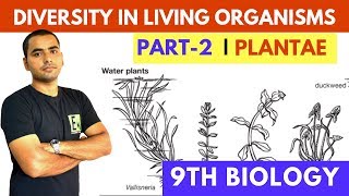 DIVERSITY IN LIVING ORGANISMS  PART2  PLANTAE [upl. by Caplan]