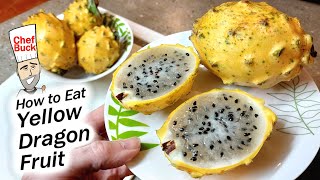 Yellow Dragon Fruit  How to Eat Pitaya [upl. by Marcell]