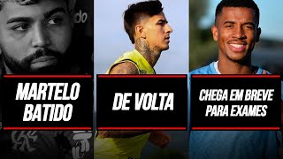 NOVO REFORÇO CHEGA EM BREVE PARA EXAMES  DIRETORIA DO FLAMENGO DEFINE SE GABIGOL JOGA CONTRA O GALO [upl. by Sorkin]