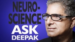 What Is Contemplative Neuroscience Ask Deepak Chopra [upl. by Jadd176]