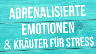 Adrenalisierte Emotionen amp Kräuter für Stress [upl. by Enreval]