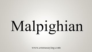 How To Say Malpighian [upl. by Bettye321]