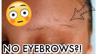 WHY ARE MY EYEBROWS FALLING OUT  Eyebrow Update [upl. by Alekram]