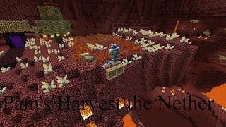 Episode 5 Pams Harvest the Nether [upl. by Noyad44]