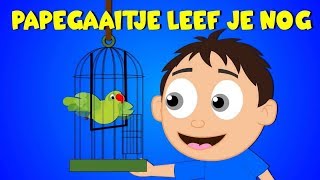 Nederlandse Kinderliedjes  Papegaaitje leef je nog etc [upl. by Kass334]