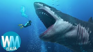 10 CURIOSITÀ PAZZESCHE sul MEGALODONTE [upl. by Ronny]