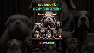 The Bad rabbit  Please save us god  funny video like the stocat cat funny [upl. by Svirad981]