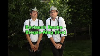 Bärlauch Buaba  BiogasAlag live [upl. by Ailes]