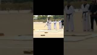 Amazing karate demonstration [upl. by Entsirhc]