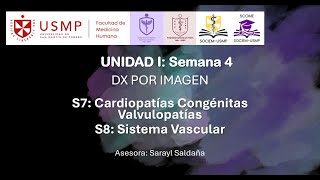 Diagnóstico por Imagen – Sesión 04 – Sarayl Saldaña – 2024II [upl. by Ahgiela]