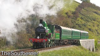 LSWR T3 Class  563  Supporters Launch Day  Swanage Railway 07102023 [upl. by Chip]