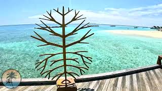 Fushifaru MALDIVES Boutique Resort 🌊🌴  FULL ISLAND TOUR 4K  Lhaviyani Atoll Vlog [upl. by Isabelle]