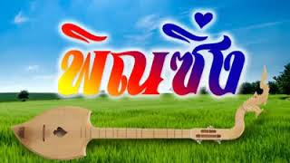 Thai Electric Phin  Isan music 泰國北方曼陀林 [upl. by Ver281]