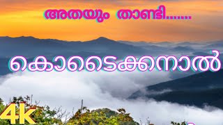 കൊടൈക്കനാൽ  അറിയേണ്ടതെല്ലാം I Tourist places in Kodaikanal [upl. by Emorej]