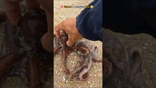 🐙Rescue mission Successfully saved 4 octopus friends 🥺 [upl. by Ahsemo]