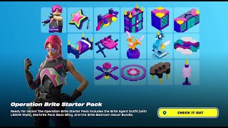 Operation Brite Starter Pack  Brite Agent Gameplay  Fortnite  Chapter 5  Season 3  Wrecked [upl. by Ecarg947]