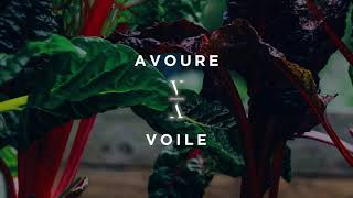 Avoure  Voile [upl. by Edmond]