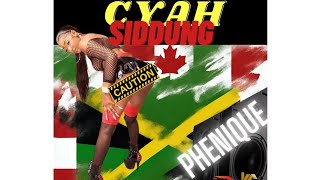 Phenique Cyah Siddung Official Audio [upl. by Ikkim931]