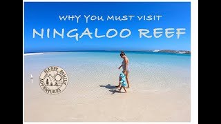 Things to do in Ningaloo Reef  Family Travel Guide [upl. by Marabel]