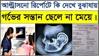 How to know baby boy or girl in Ultrasound reportআল্ট্রাসনো রিপোর্ট বলে দিবে সন্তান ছেলে না মেয়ে [upl. by Nareht22]