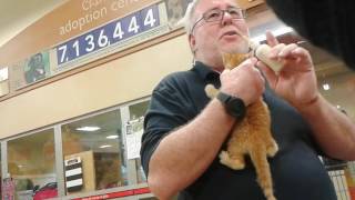 Racial Discrimination Incident at PetSmart Pet Store Police Called For Arrest [upl. by Ajdan344]