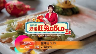 PROMO 麦玲玲好运旺兔GOLD GOOD FENGSHUI GREAT FORTUNE 2023 [upl. by Duong]