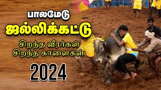 Palamedu Jallikattu  முடிஞ்சா தொட்டுப்பார்  பாலமேடு ஜல்லிக்கட்டு 2024  Vikatan [upl. by Blackstock382]