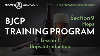 BJCP Training Section 9 Hops  Lesson 1 Introduction to Hops [upl. by Fiore623]