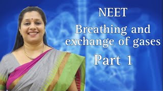 NEET Breathing and Exchange of Gases Part 1 [upl. by Gnaig]