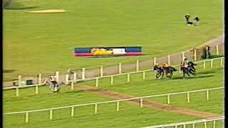 1999 Ascot Chase Teeton Mill Includes Replay [upl. by Forras764]