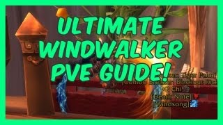 Monk Windwalker PVE Guide [upl. by Ettennad279]