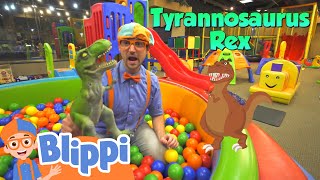 Blippi Visits an Indoor Playground  Learning Videos For Kids  Education Show For Toddlers [upl. by Anol276]