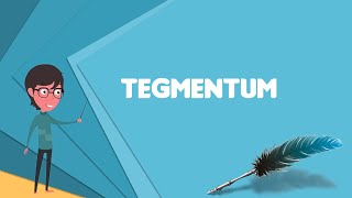 What is Tegmentum Explain Tegmentum Define Tegmentum Meaning of Tegmentum [upl. by Aynav]