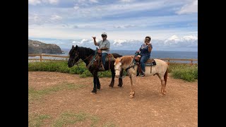 Circle M Ranch Horseback riding adventure [upl. by Fenelia]