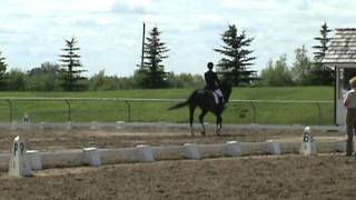 Windstorm amp Shelley Malbeuf  Amberlea Dressage Show  July31  3rd Level Test [upl. by Yroger]