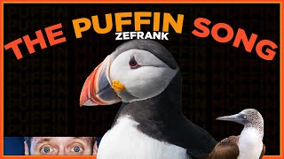 Zefrank  Puffin Mating Dance Lyric Video [upl. by Os]