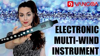 Vangoa  MIDI EWI  Electronic Wind Instrument  REVIEW DEMO amp HOW TO USE [upl. by Eniarda670]