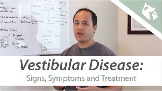 What is Vestibular Disease [upl. by Elleinahc]