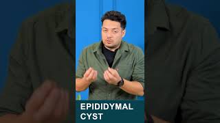 what is epididymal cyst varicocele epididymalcyst himanshudhawan maleinfertility shorts [upl. by Lapo]