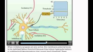 Animation Summation of Postsynaptic Potentials [upl. by Lamrej]