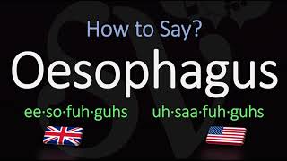 How to Pronounce Oesophagus CORRECTLY Meaning amp Pronunciation [upl. by Olnay757]