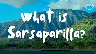 What is Sarsaparilla [upl. by Muffin]