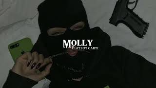 Playboy Carti  Molly slowed  reverb [upl. by Pacorro]