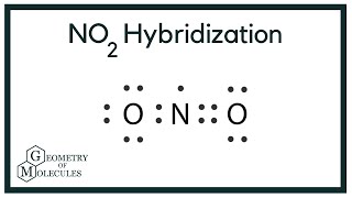 NO2 Hybridization Nitrogen Dioxide [upl. by Nolyaj]