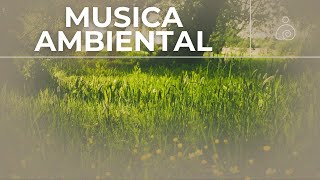 🌿Música Ambiental 2024  Libera El Estrés Y la Ansiedad 🌿 [upl. by Marijn787]