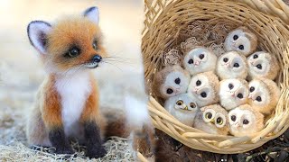 Cute Baby Animals Videos Compilation  Funny and Cute Moment of the Animals 18  Cutest Animals [upl. by Livvyy]