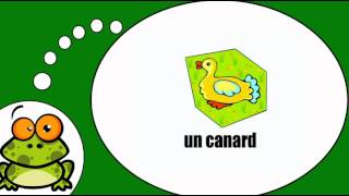 Vocabolario francese  Gli animali  2 [upl. by Goldwin]