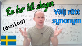 En kort historia välj rätt synonymer SFI [upl. by Akcinahs]