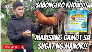 SABONGERO KNOWS MABISANG GAMOT SA SUGAT NG MANOK  GAMEFOWL BREEDERS  GAMEFOWLS [upl. by Dionis]